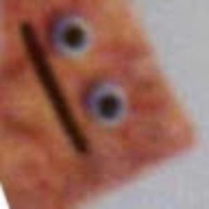 Meet your Posher, Bella